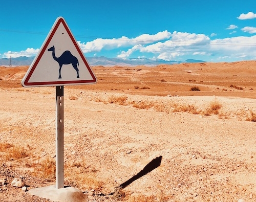 A camel sign at a desert.